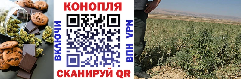 Купить закладки  Бологое  Еда ТГК марихуана 