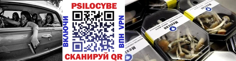 Псилоцибиновые грибы Psilocybe  Купить  Бологое 